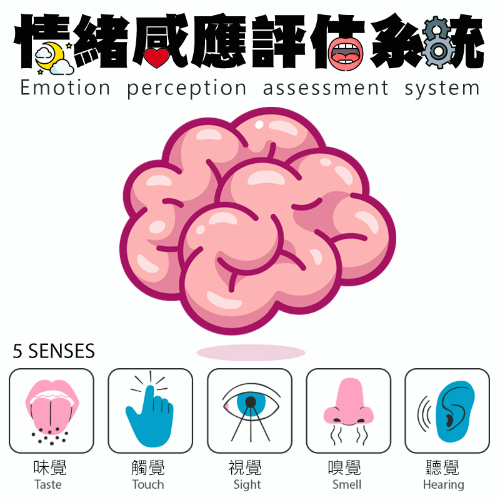 「易」motion情绪波动AI脑波辨识（五觉感应测评系统）