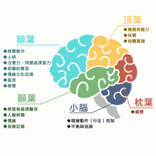 「易」motion情绪波动AI脑波辨识（五觉感应测评系统）